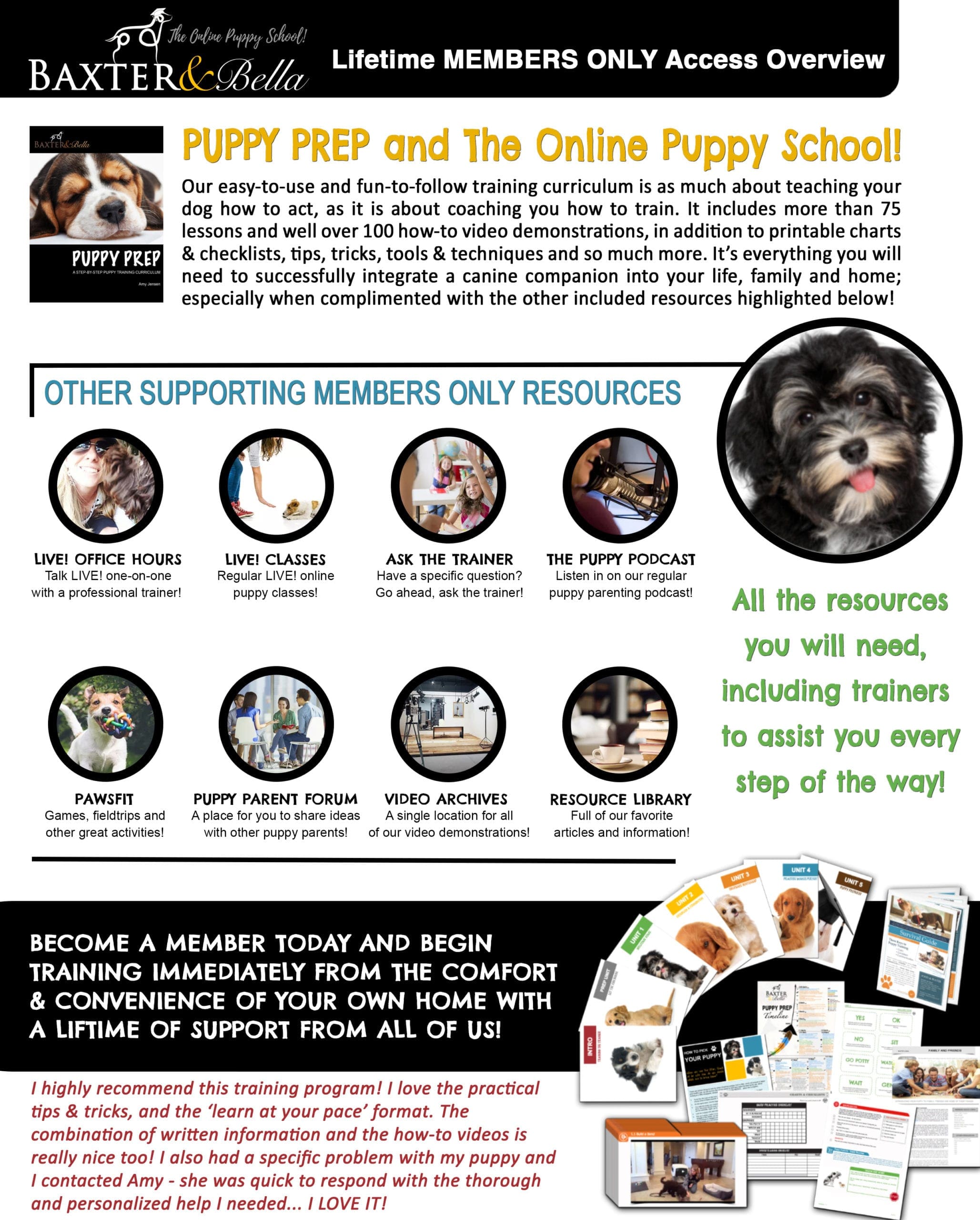 baxterandbella puppy school